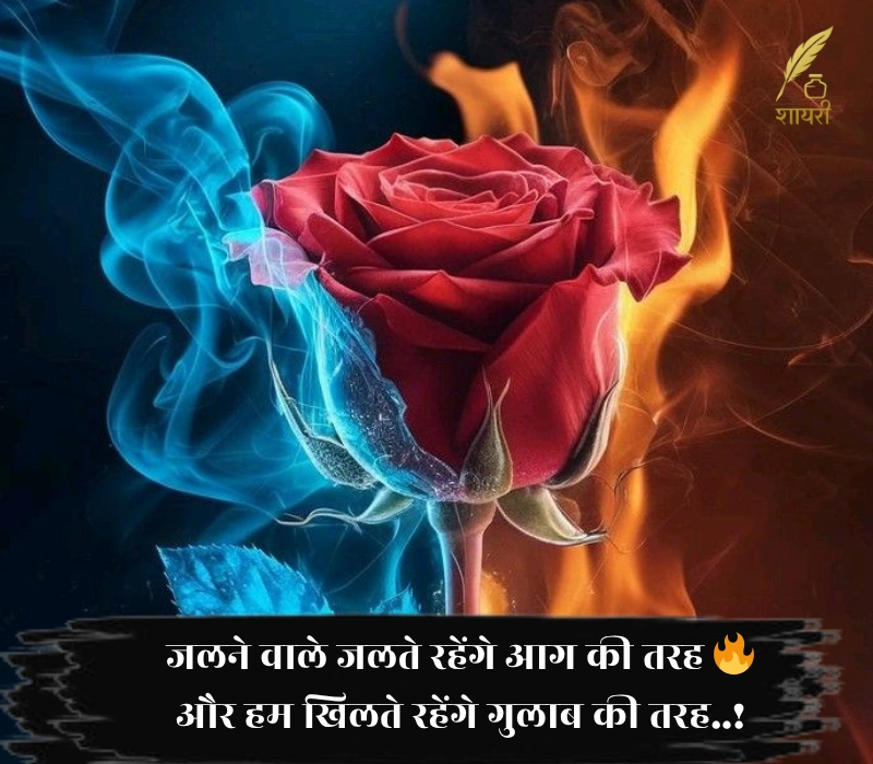 जलने वाले जलते रहेंगे आग की तरह 🔥 और हम खिलते रहेंगे गुलाब की तरह..! 🌹