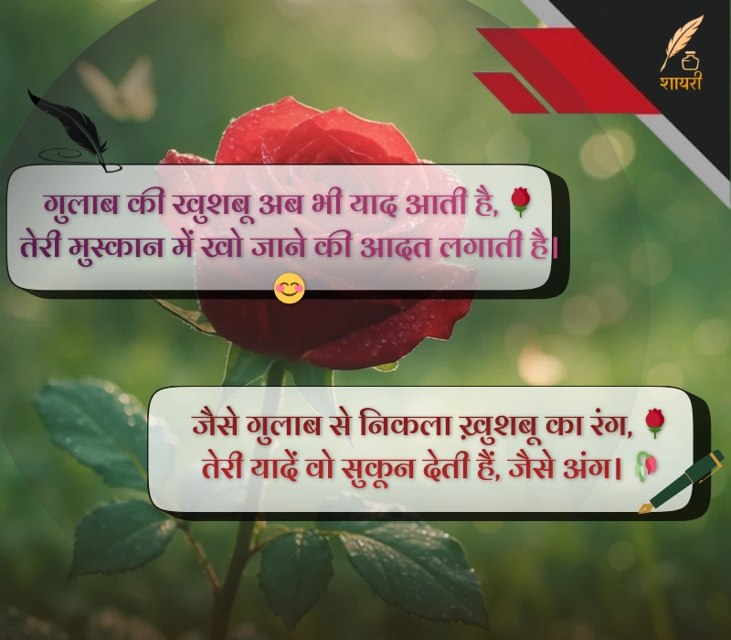 Gulab Shayari